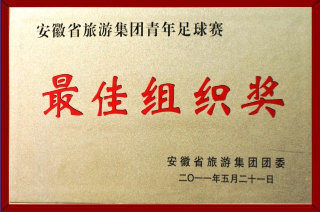 最佳组织奖
