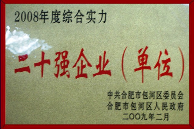 综合实力二十强企业